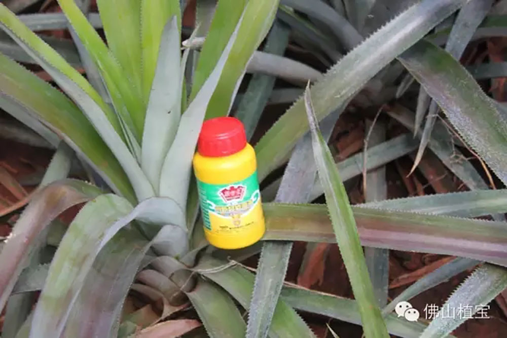 佛山市植寶生態(tài)科技有限公司