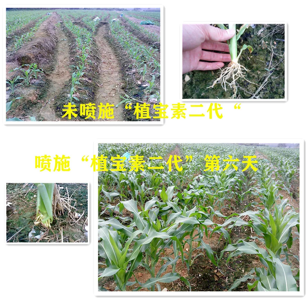 佛山市植寶生態(tài)科技有限公司