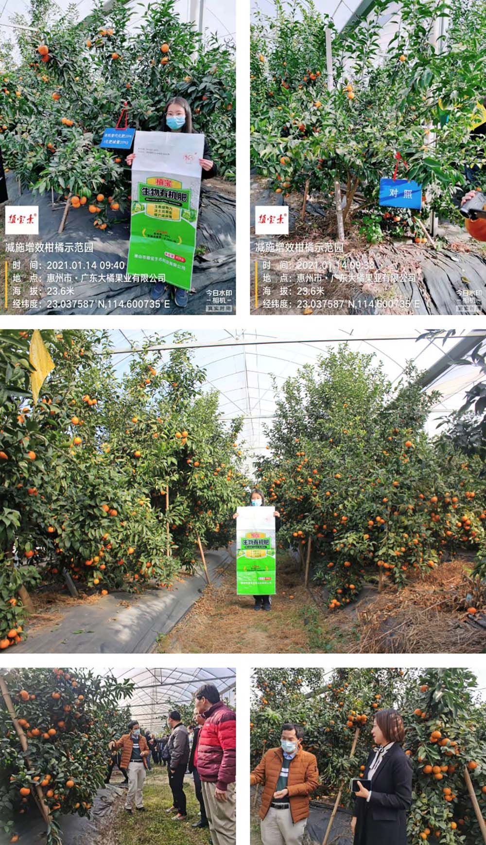 植寶生物有機(jī)肥