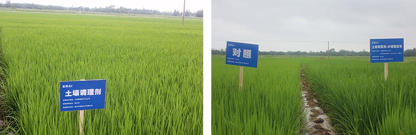 土壤調(diào)理劑