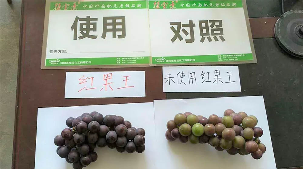 佛山市植寶生態(tài)科技有限公司