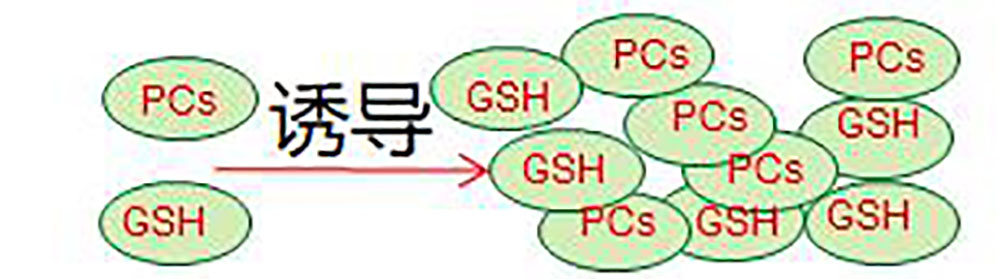 鎘無憂葉面阻控劑