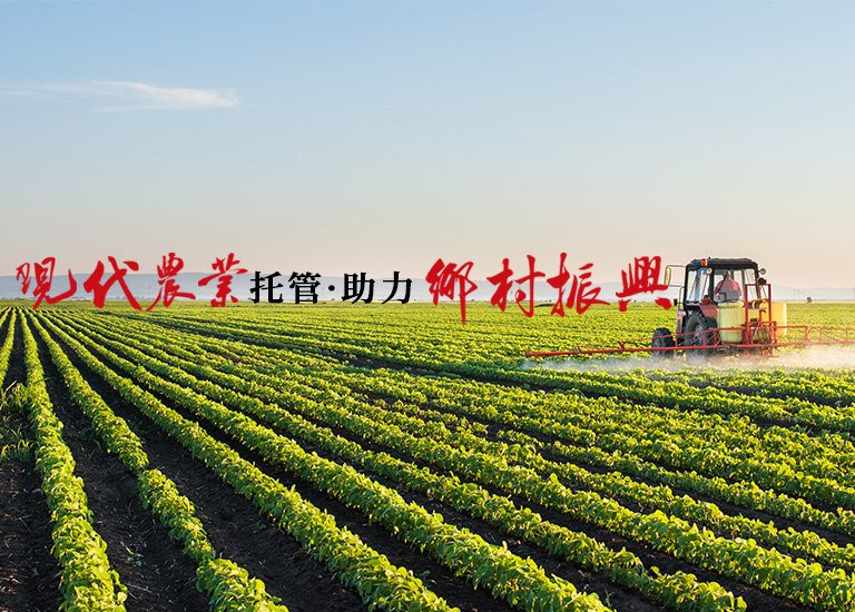 f2f59b40-cefc-4c2e-8409-c79728ec1fa4.jpg f2f59b40-cefc-4c2e-8409-c79728ec1fa4.jpg